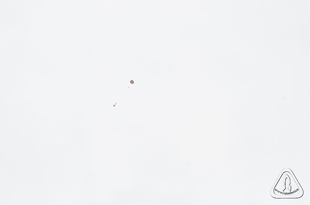 2013 Suche 29062013 Michal